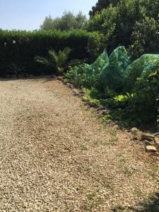 Zahrada ubytování Oasi di Campagna