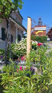 Fotografie z fotogalerie ubytování Ferienwohnung Aloysia am Saarlandradweg v destinaci Merzig