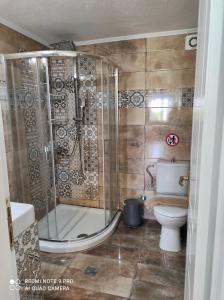 a bathroom with a shower and a toilet at Apartment Nina Holidays in Paralia Sikias +47 photos