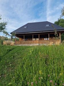 a house with a black roof in a field at Cerdacul din livada - Șura Bunicilor in Vaideeni