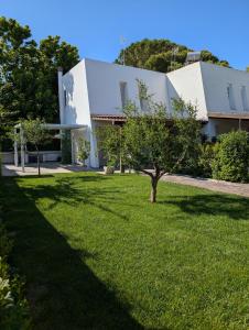 a tree in the grass in front of a building at 73059 Versilia in Fontanelle