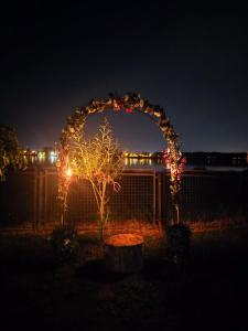 Taman di luar Dunavska Oaza