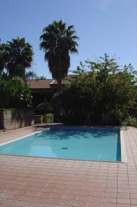 niebieski basen z palmami i dom w obiekcie Calipso Bed&Breakfast w Katanii