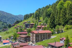 Peisaj natural din apropierea acestui hotel
