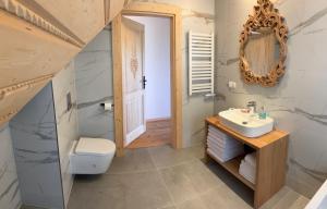 a bathroom with a sink and a toilet and a mirror at Cicha Ostoja in Czarny Dunajec +26 photos