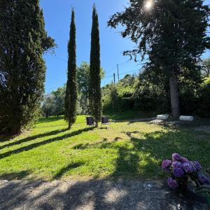 Φωτογραφία από το άλμπουμ του B&B Podere Cottimellino - Montalcino - Val d'Orcia στο Μονταλτσίνο