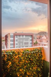 El edificio en el que está el departamento