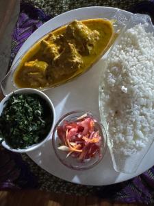a plate of food with rice and a curry at JozaniBiospherevillage in Jozani