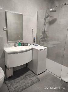 Kúpeľňa v ubytovaní Penthouse Apartments Dora Kukljica