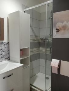 a white bathroom with a shower and a sink at Grand studio centre-ville in Villedieu-les-Poëles