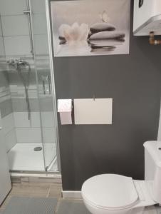 a bathroom with a white toilet and a shower at Grand studio centre-ville in Villedieu-les-Poëles +2 photos