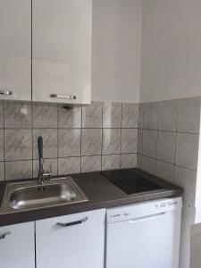 a kitchen with a sink and a counter top at Apartman Nina Vrlika in Vrlika