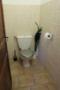 a bathroom with a toilet and a vase with a plant at Maquis et plage in Sollacaro +19 photos