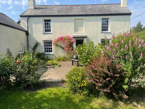 ein weißes Haus mit Blumen im Hof in der Unterkunft South Sandpark Cottage in Barnstaple