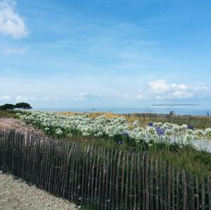 una recinzione con un mazzo di fiori bianchi e viola di Studio 3 couchages vue mer a Châtelaillon-Plage