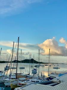 a bunch of boats are docked in a harbor at Duplex-SeaYa-CentreVille&Marina in Marigot