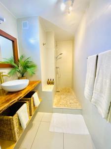 a bathroom with a sink and a shower at Duplex-SeaYa-CentreVille&Marina in Marigot