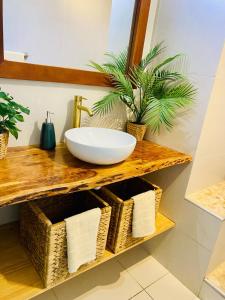 a bathroom with a sink on a wooden shelf with baskets at Duplex-SeaYa-CentreVille&Marina in Marigot +5 photos