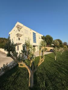 a tree in the grass in front of a building at MEGA Apartments in Fushë-Draç