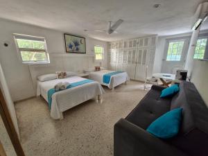 Фотография из галереи Hotel Downtown Merida в городе Мерида