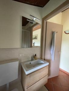 a bathroom with a sink and a mirror at Il Nido Del Ricetto in Roppolo