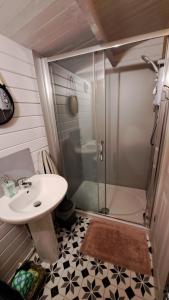 a bathroom with a shower and a sink at The Cosy Cabin in Portree