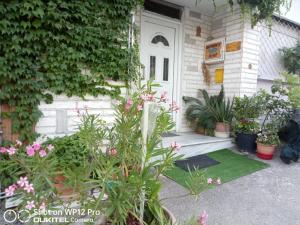 a front door of a house with plants and flowers at Captain`s Place in Alexandroupoli