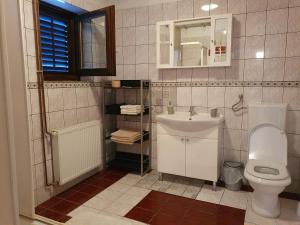 a bathroom with a toilet and a sink at Guesthouse Vila in Slunj +43 photos