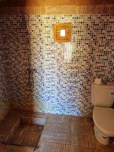 a bathroom with a toilet and a tiled wall at Mhamid Amazing Camp in Mhamid +27 photos