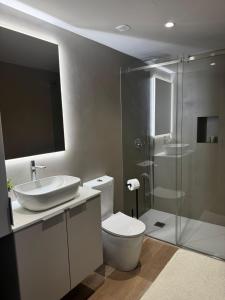 a bathroom with a toilet and a sink and a shower at Casa do Pitoco in Belinho