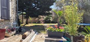 a garden with flowers and plants in a yard at Charming house in Auvernaux