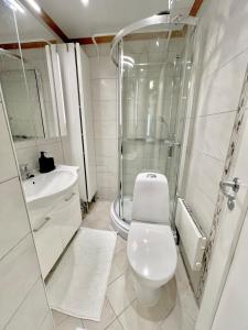 Un baño blanco con inodoro y ducha. en Floien City Apartment -Free parking, en Bergen