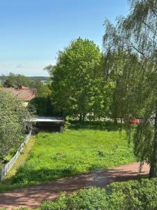 a field of grass with trees and a road at Mysiga 21 an in Mariehamn +9 photos