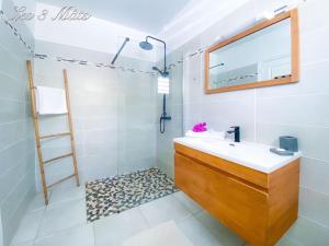 un baño con lavabo y ducha en Bungalow bord de mer, en Le Robert