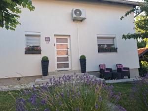 Zahrada ubytování Studio apartman Marta