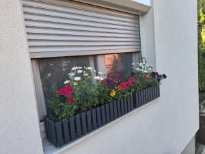 Zahrada ubytování Studio apartman Marta