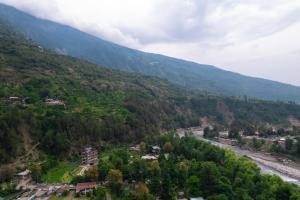 Phong cảnh thiên nhiên gần nhà khách