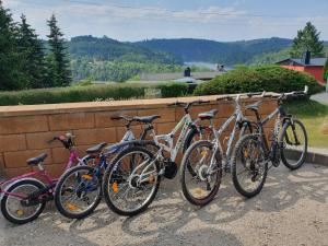 four bikes are lined up against a brick wall at Ferienhaus am Thüringer Meer in Bad Lobenstein