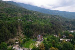 Phong cảnh thiên nhiên gần nhà khách