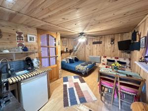 TV a/nebo společenská místnost v ubytování Mobile home gerardmer
