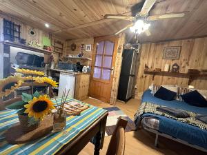 Kuchyň nebo kuchyňský kout v ubytování Mobile home gerardmer