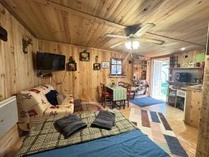 TV a/nebo společenská místnost v ubytování Mobile home gerardmer