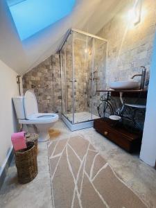 ein Badezimmer mit Dusche, Toilette und Waschbecken in der Unterkunft Conacul Perla Bratiei in Cîndeşti
