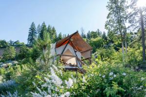Příroda nedaleko luxury tent