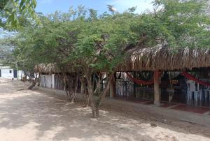 un edificio con techo de paja y algunos árboles en Hostal CQ Camarones, en Camarones 33 fotos más