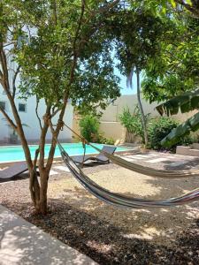 a hammock next to a tree next to a pool at Apartment for 4 Guests in Sabanilla a few steps from the sea in Maizal