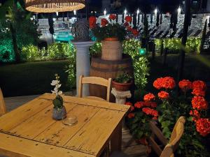 Zahrada ubytování Boutique Hotel Colosseo