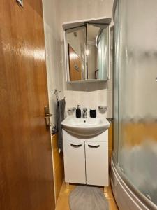 ein Badezimmer mit Waschbecken, Spiegel und Dusche in der Unterkunft Apartmani Merica in Pakoštane