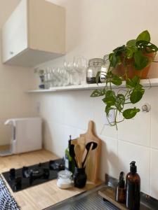 Η κουζίνα ή μικρή κουζίνα στο Apartamento completo em Ananindeua - COP30 +122 φωτογραφίες