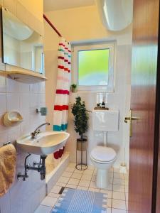 ノヴィ・ヴィノドロスキーにあるDie Appartements Glavas,Eckwohnunge für 2 Personenのトイレと洗面台付きのバスルーム
